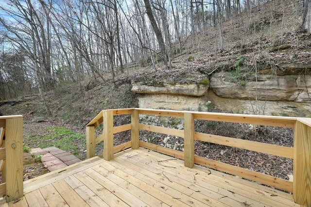 a view of a backyard