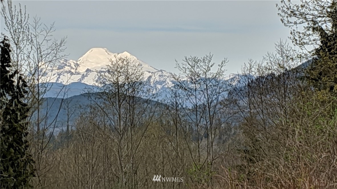 0 Mountain View Road Mount Vernon, WA 98274 - Photo 1 of 12 Gallery Image 1