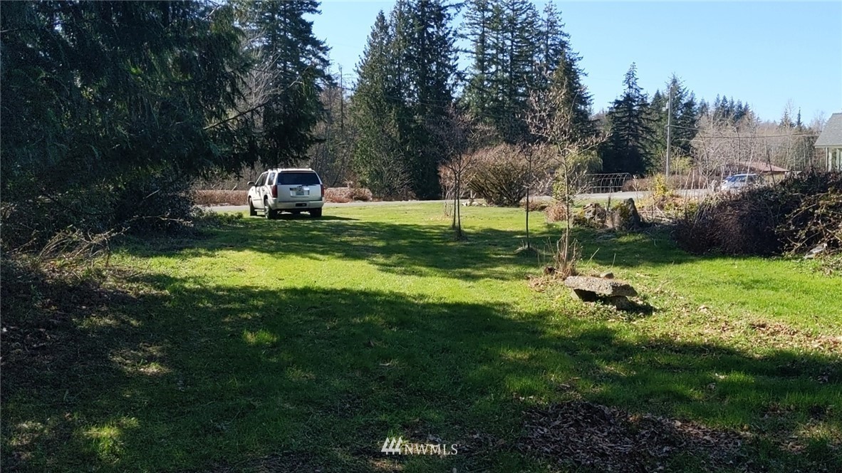 0 Mountain View Road Mount Vernon, WA 98274 - Photo 4 of 12 Gallery Image 4