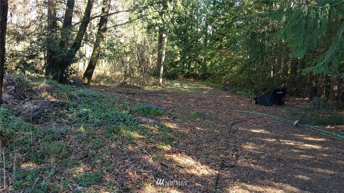 0 Mountain View Road Mount Vernon, WA 98274 - Photo 5 of 12 Gallery Image 5