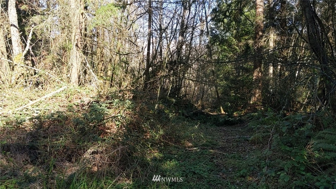 0 Mountain View Road Mount Vernon, WA 98274 - Photo 7 of 12 Gallery Image 7