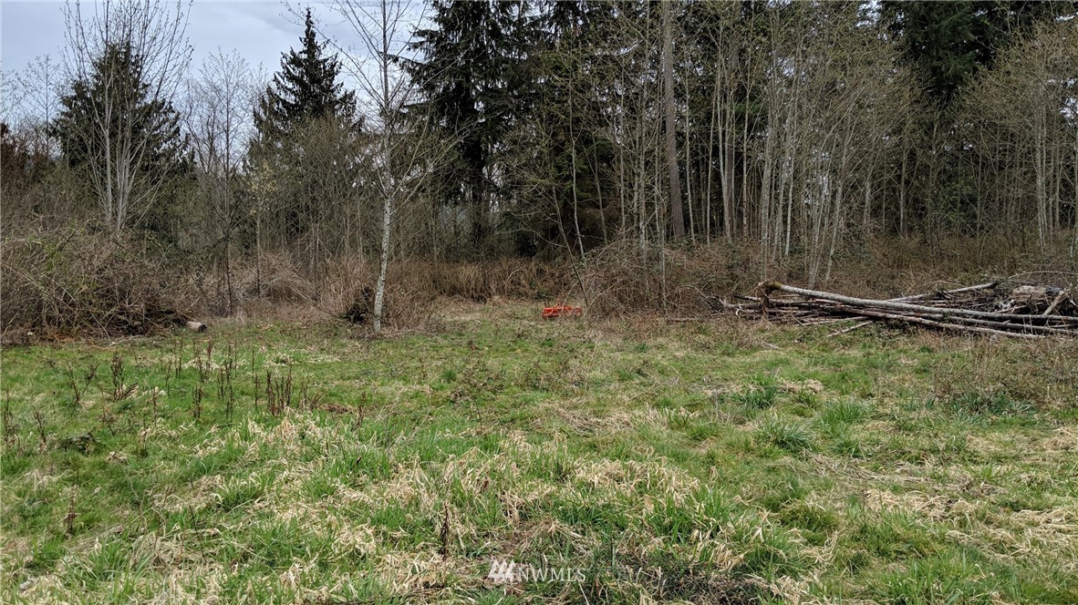 0 Mountain View Road Mount Vernon, WA 98274 - Photo 9 of 12 Gallery Image 9