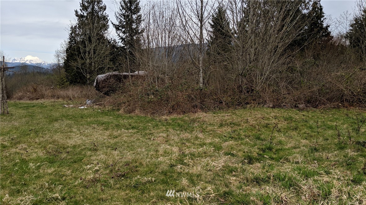 0 Mountain View Road Mount Vernon, WA 98274 - Photo 10 of 12 Gallery Image 10