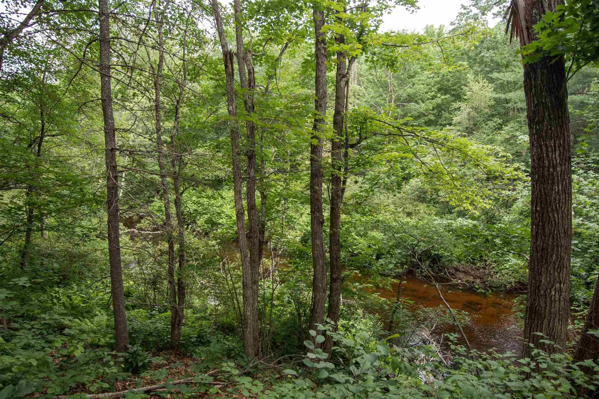 108 Stone Bridge Road Wilmot, NH 03287 - Photo 24 of 25