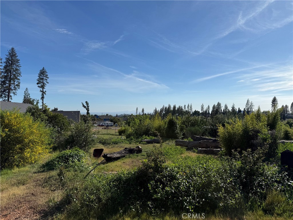 5701 Newland Road Paradise, CA 95969 - Photo 9 of 11 a view of a garden