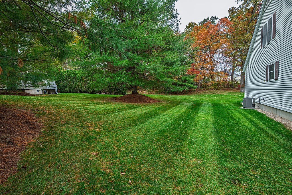 61 St Andrews Way, Unit 64 Chelmsford, MA 01863 - Photo 7 of 41