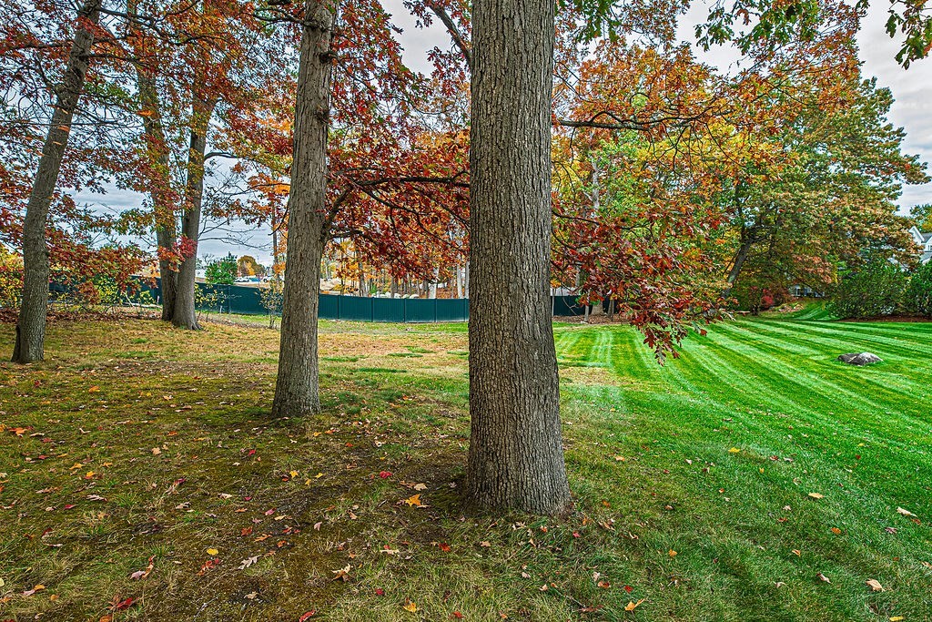 61 St Andrews Way, Unit 64 Chelmsford, MA 01863 - Photo 10 of 41