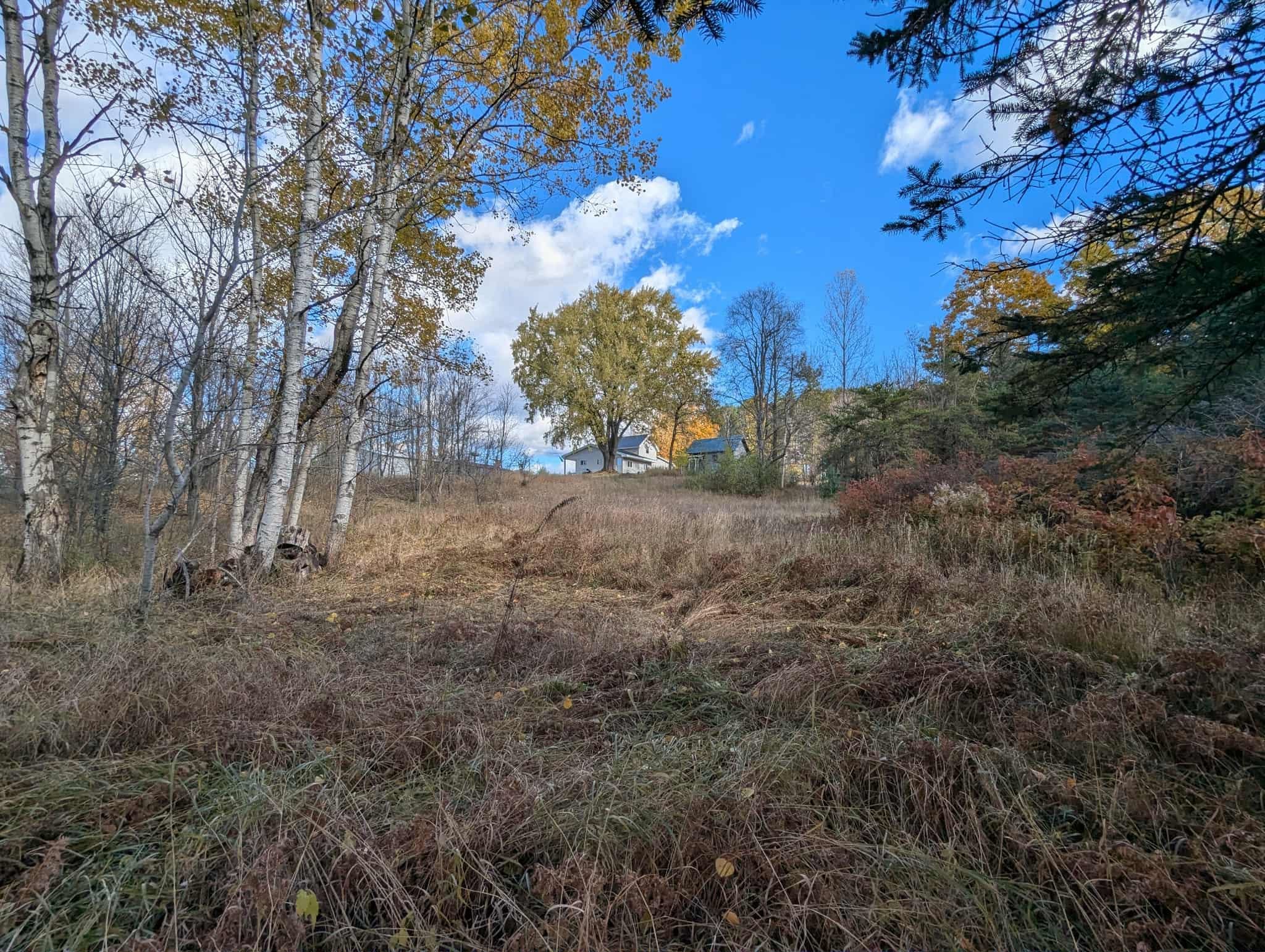 3920 East 14 Road Manton, MI 49663 - Photo 60 of 65