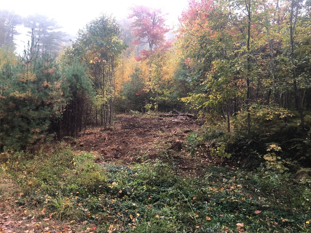 72 Woodward Road Petersham, MA 01366 - Photo 1 of 6 Gallery Image 1