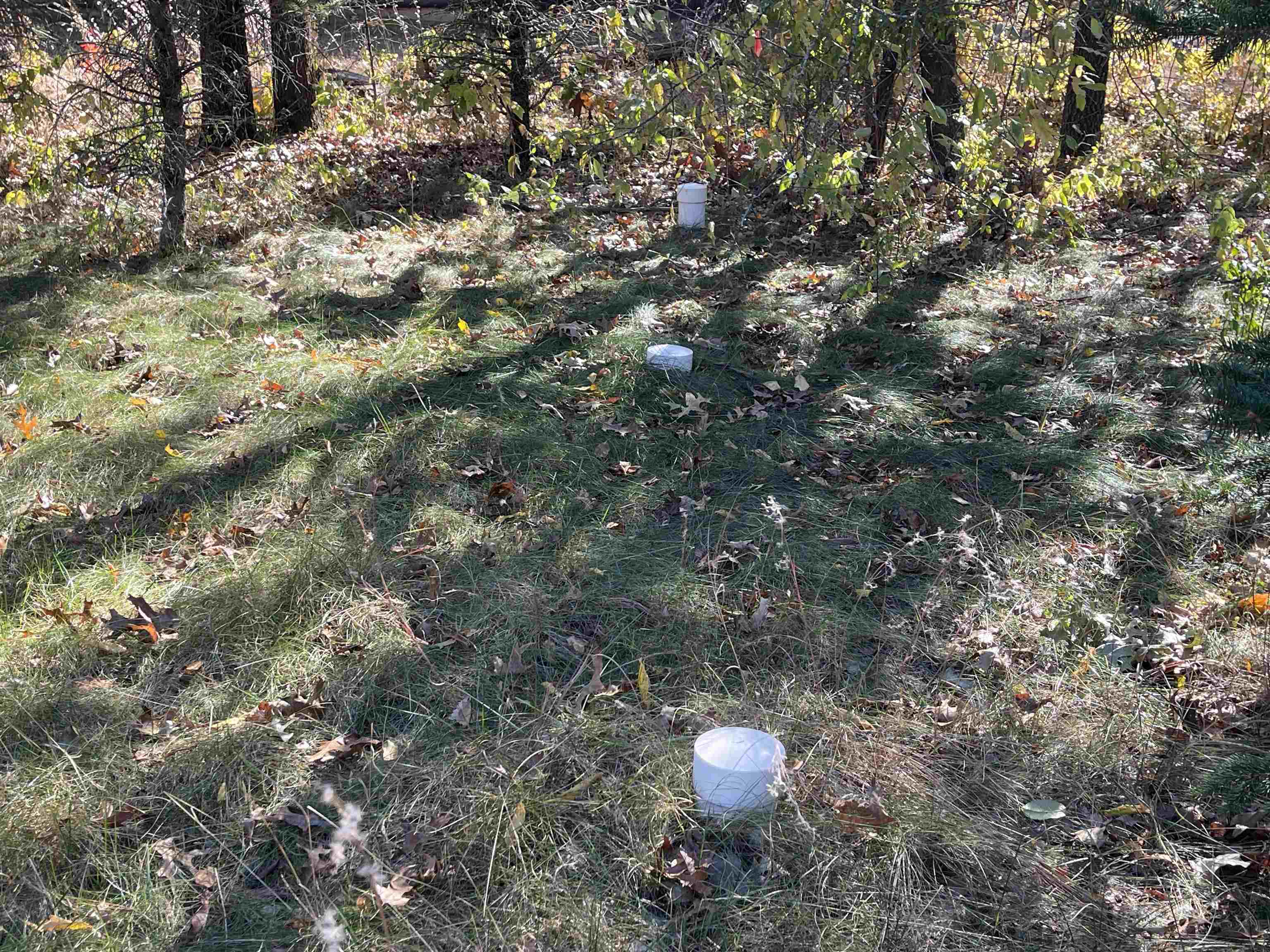 2414 Valley Friendship Wi 53934 Friendship, WI 53934 - Photo 39 of 48