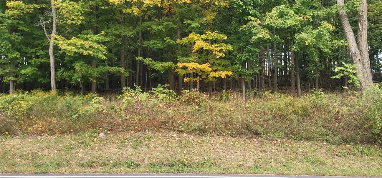 Lot 1 Bethlehem Road New Windsor, NY 12553 - Photo 1 of 1 View of road frontage