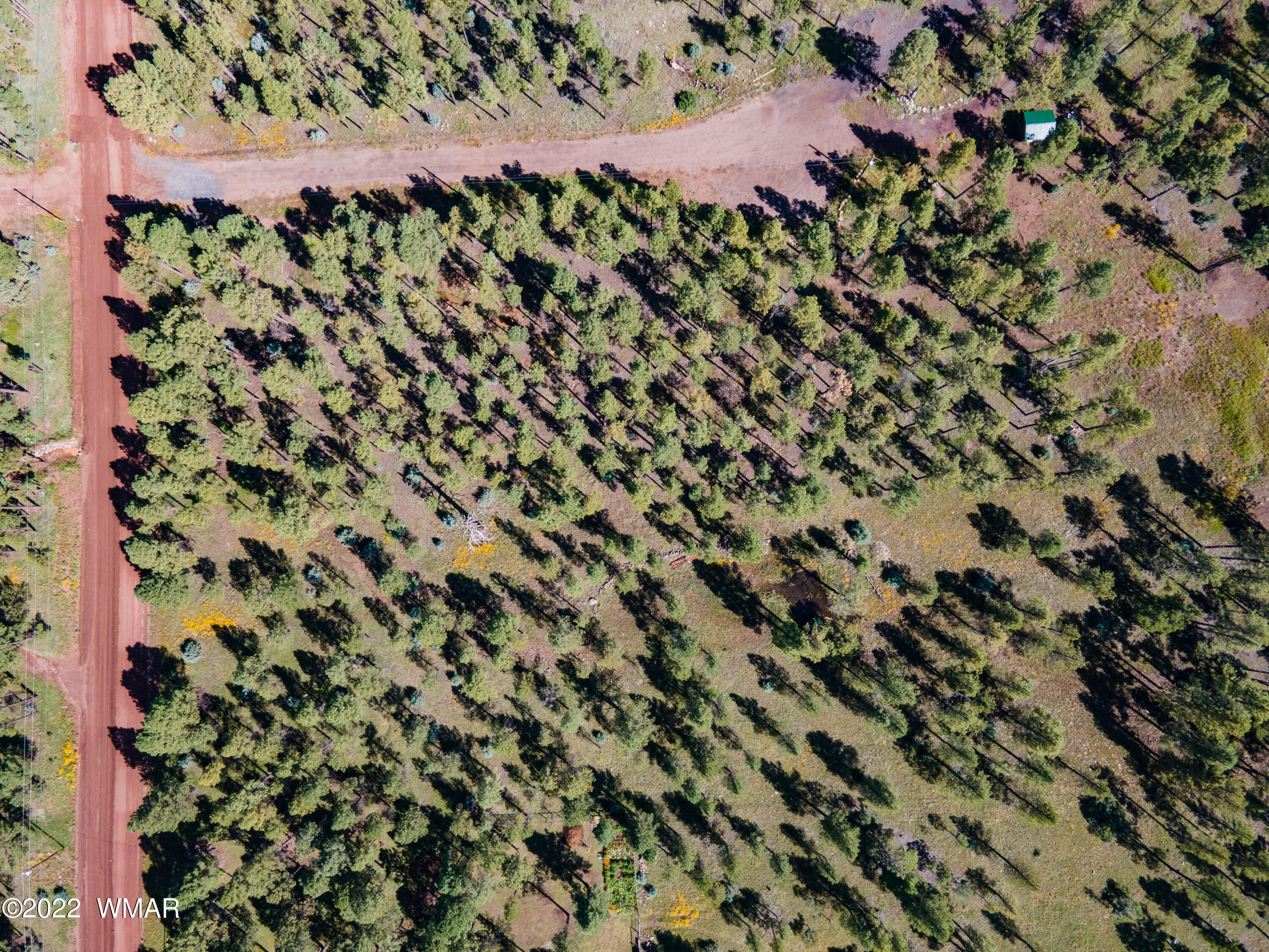 Tbd Deer Run Road Pinetop, AZ 85935 - Photo 2 of 9