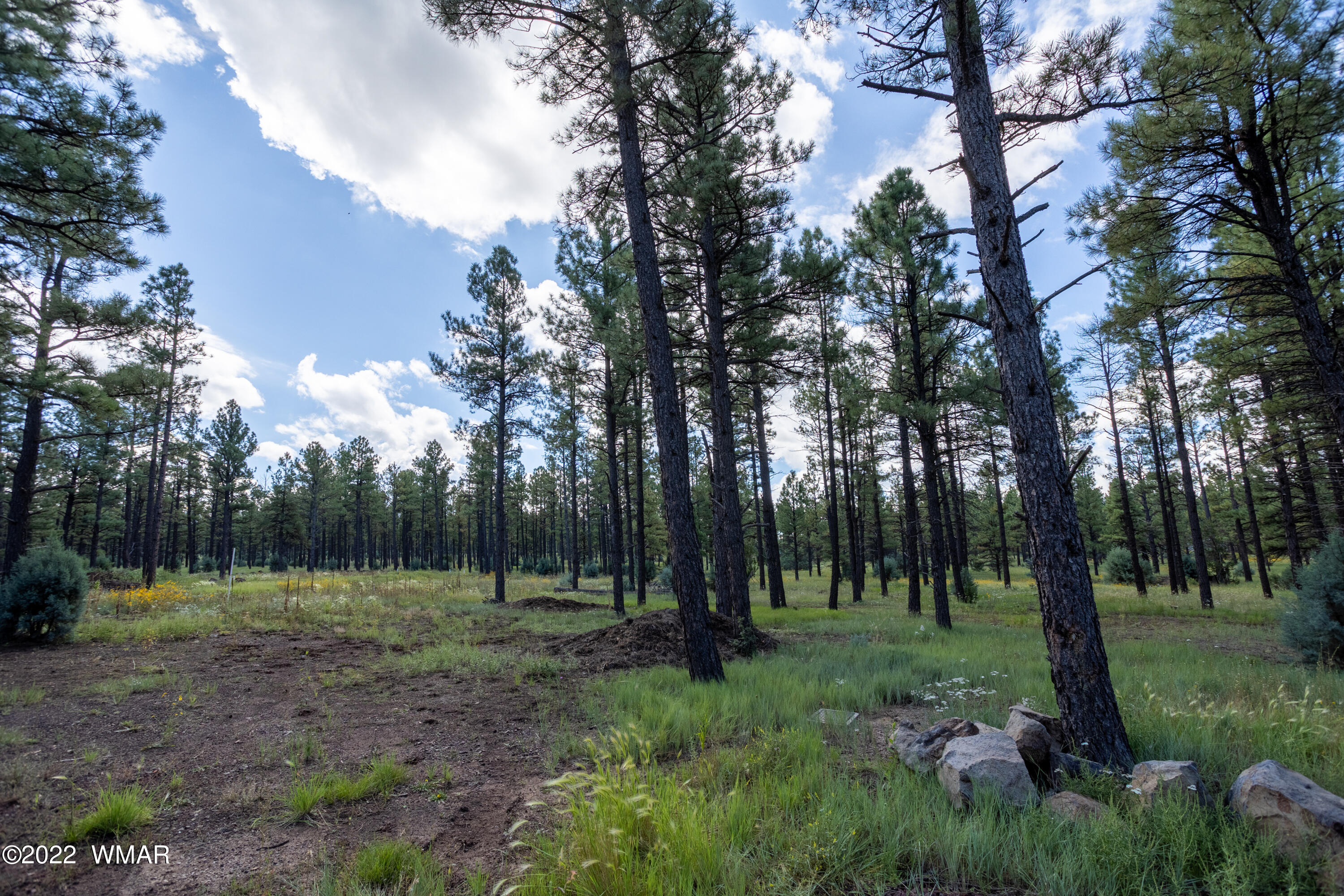 Tbd Deer Run Road Pinetop, AZ 85935 - Photo 3 of 9