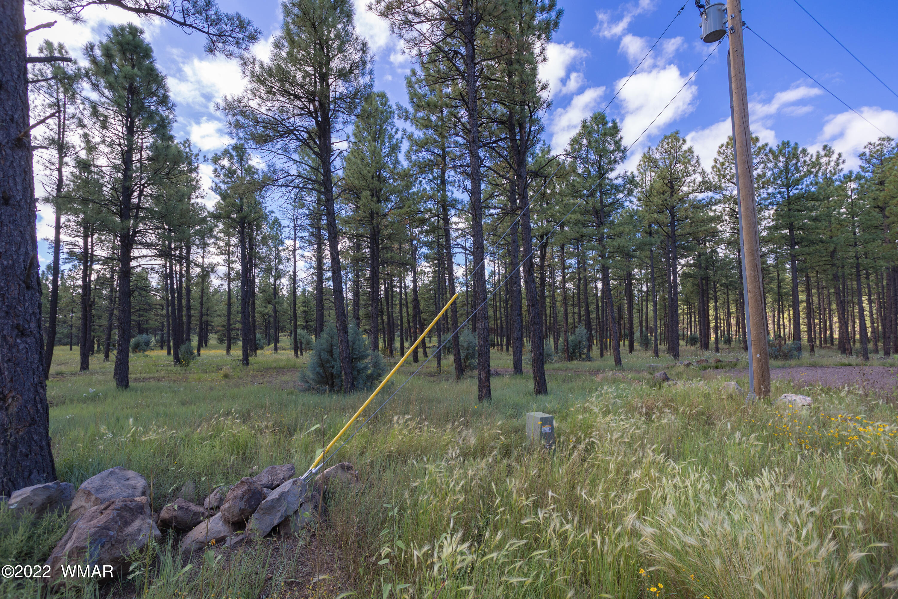 Tbd Deer Run Road Pinetop, AZ 85935 - Photo 4 of 9