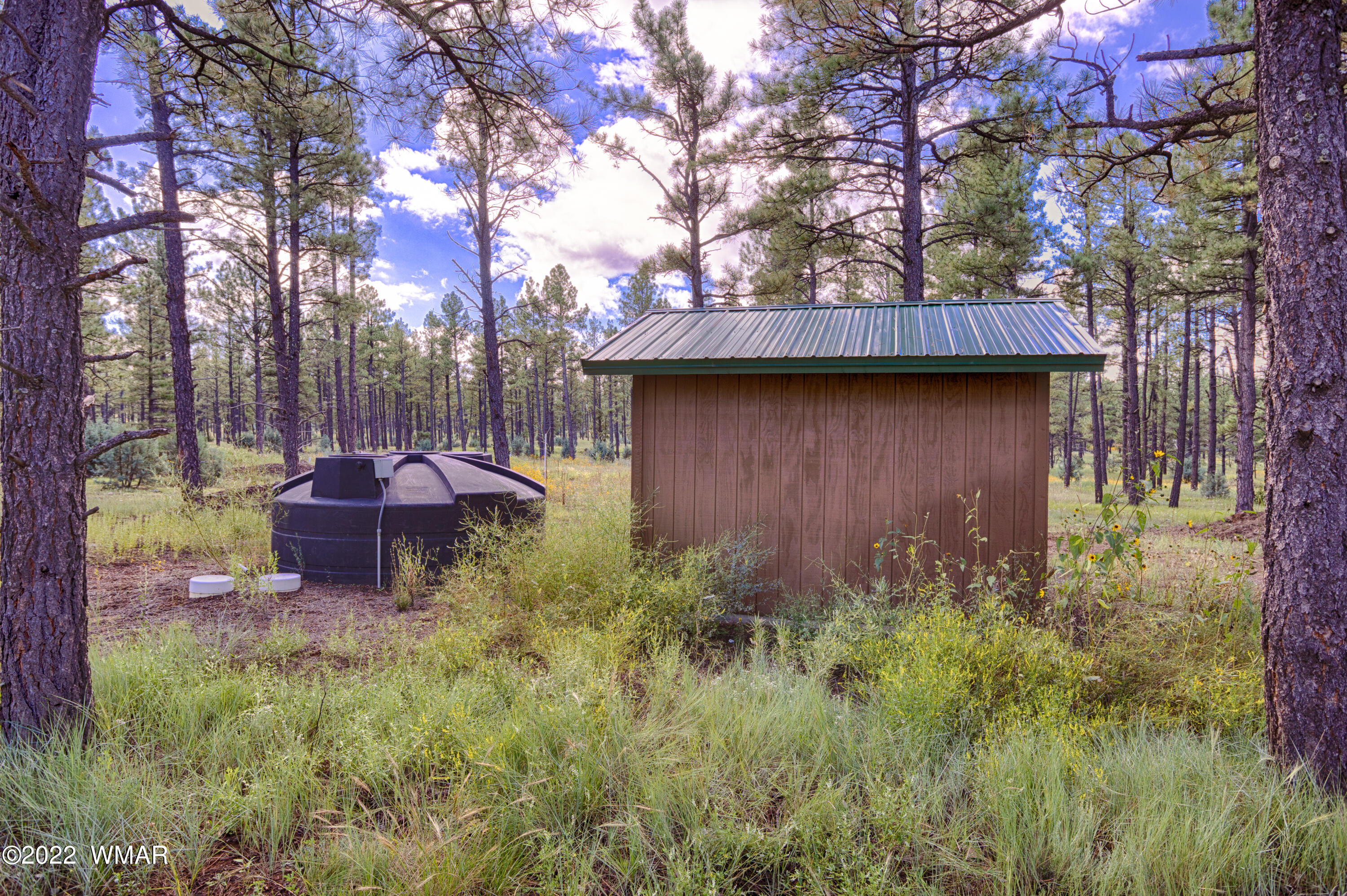 Tbd Deer Run Road Pinetop, AZ 85935 - Photo 5 of 9