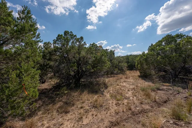 $1,900,000 | 4 Midnight Sky Drive, Austin, TX 78737