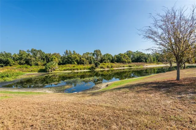 a view of a house with a yard and potted plants