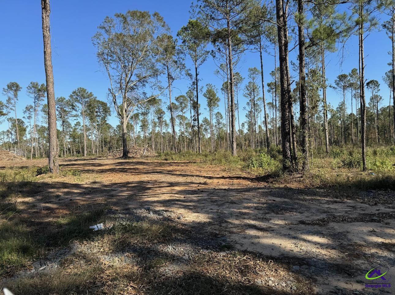 Tract-8 Lower Simmons Road Macon, GA 31220 - Photo 6 of 13