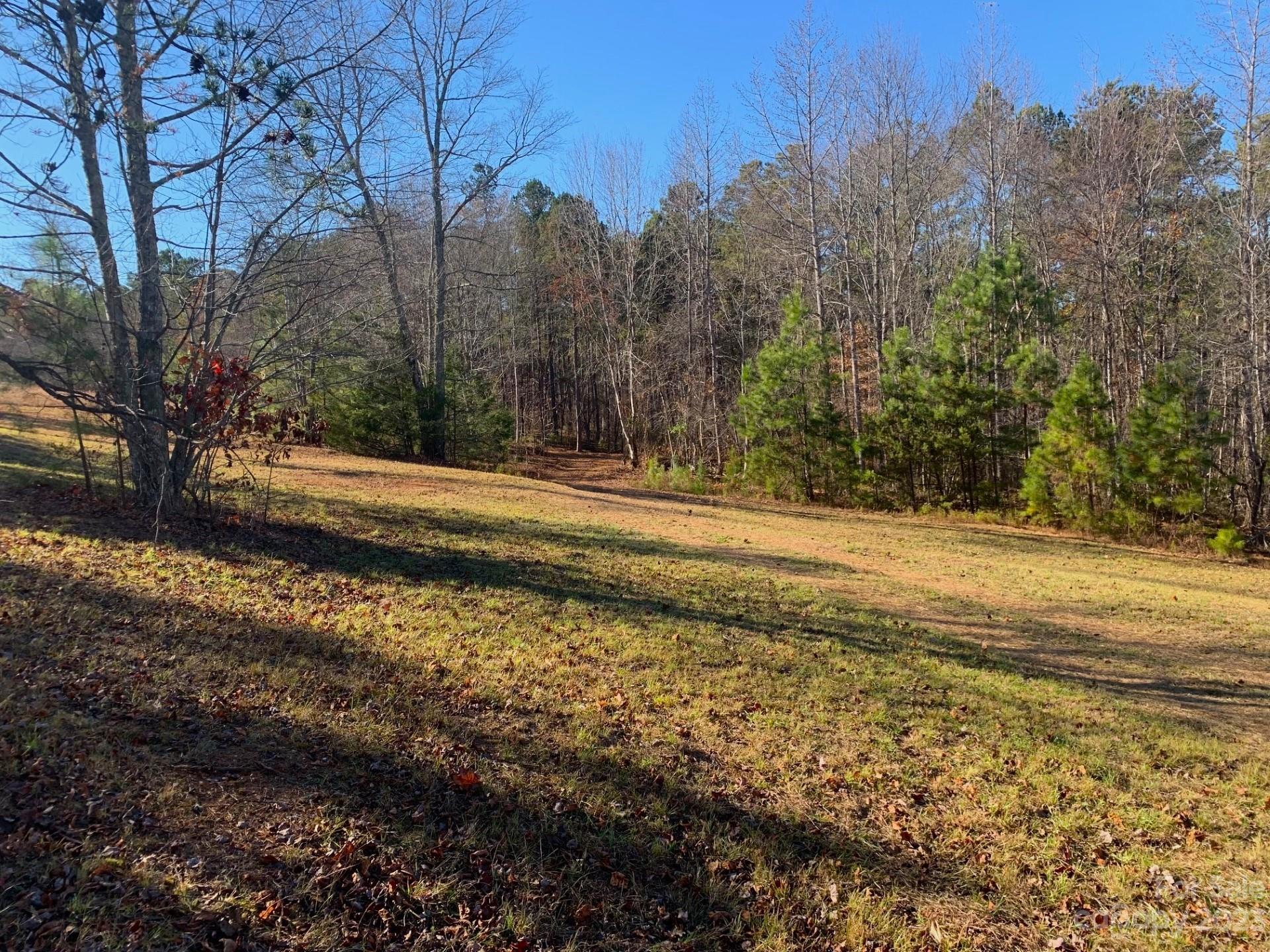 0 Cc Road Rutherfordton, NC 28139 - Photo 13 of 32 a view of a yard with large trees
