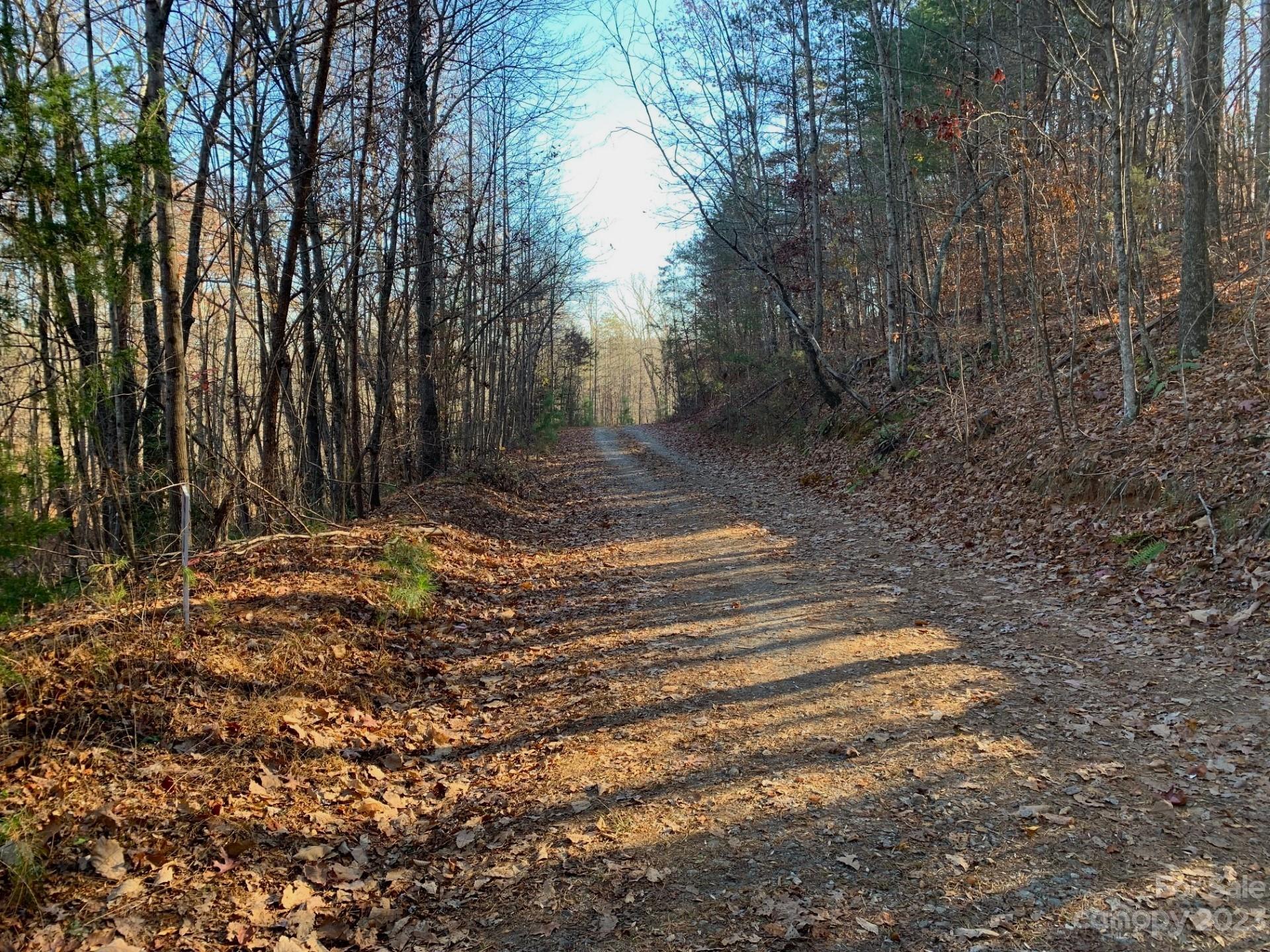 0 Cc Road Rutherfordton, NC 28139 - Photo 25 of 32 a view of backyard