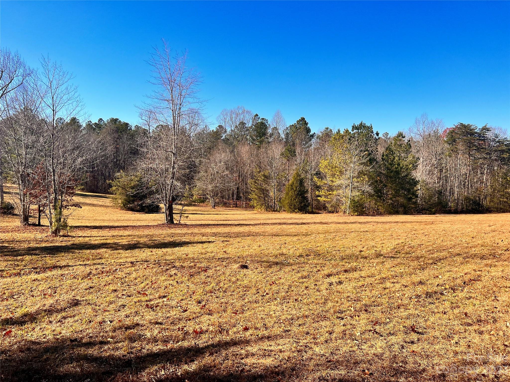 0 Cc Road Rutherfordton, NC 28139 - Photo 3 of 32 a view of a yard with trees
