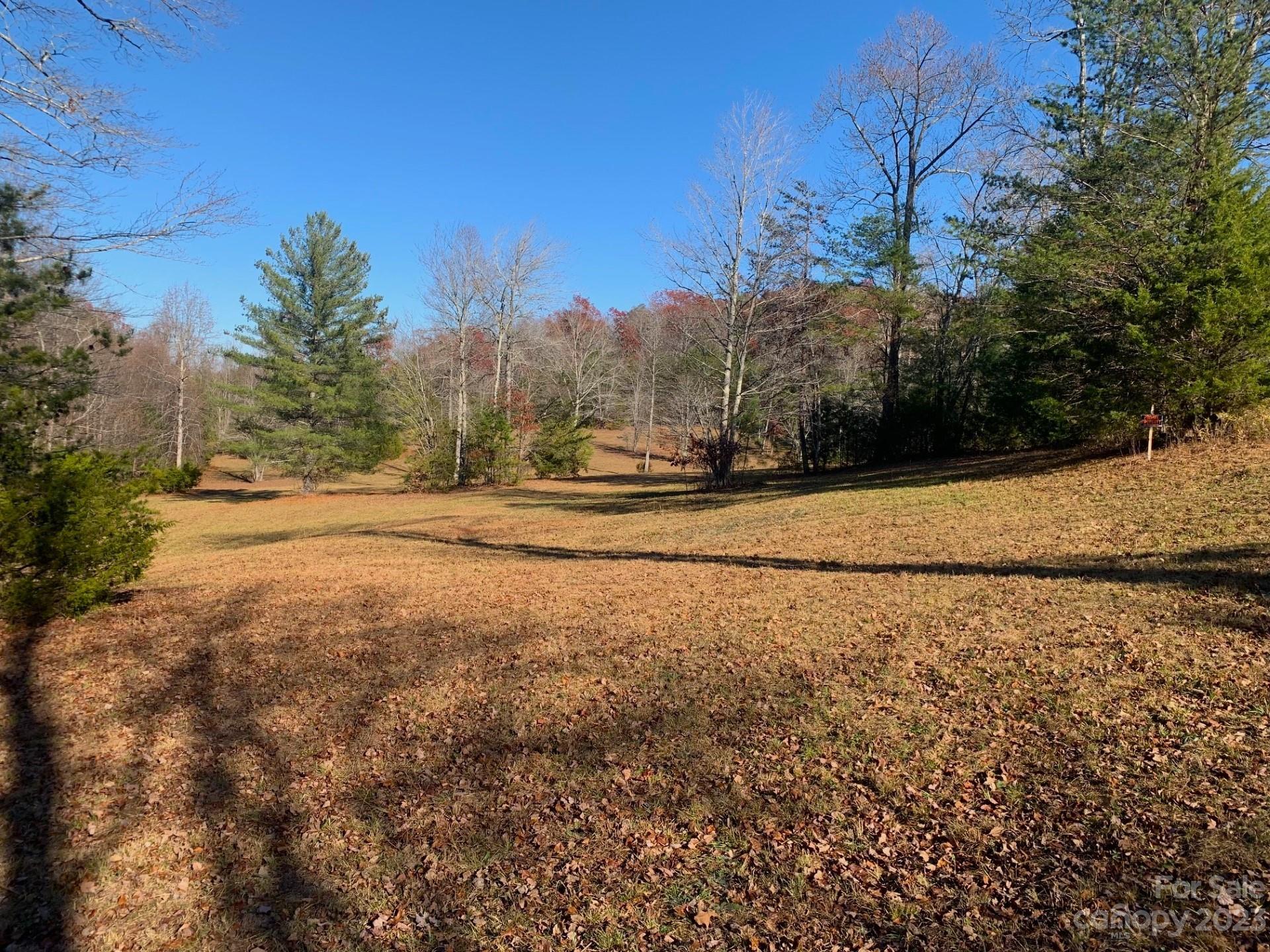 0 Cc Road Rutherfordton, NC 28139 - Photo 7 of 32
