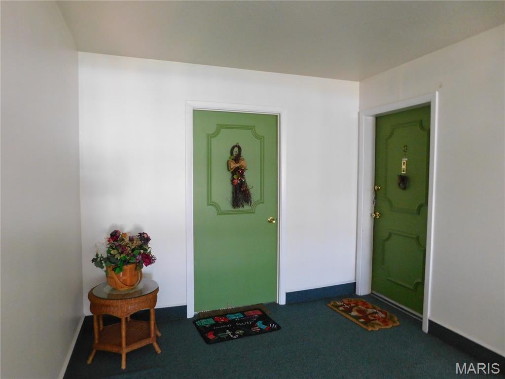 1678 Blue Ridge Drive, Unit F St. Louis, MO 63125 - Photo 22 of 23