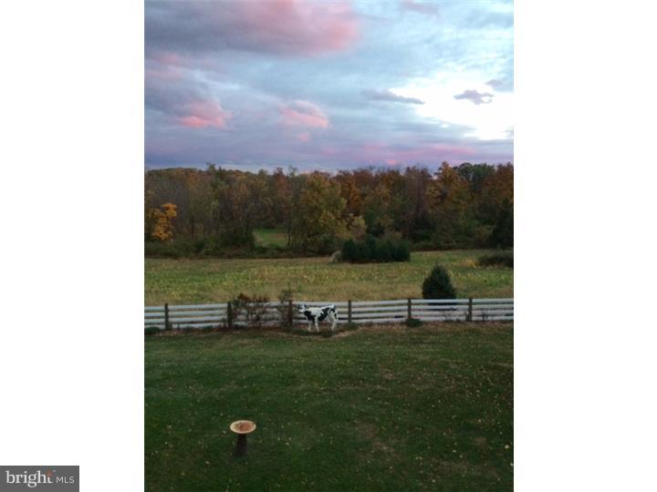 1436 Wrightstown Road Newtown, PA 18940 - Photo 21 of 25 View in Back
