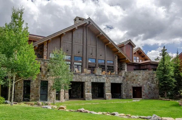 a view of a garden with plants and a bench