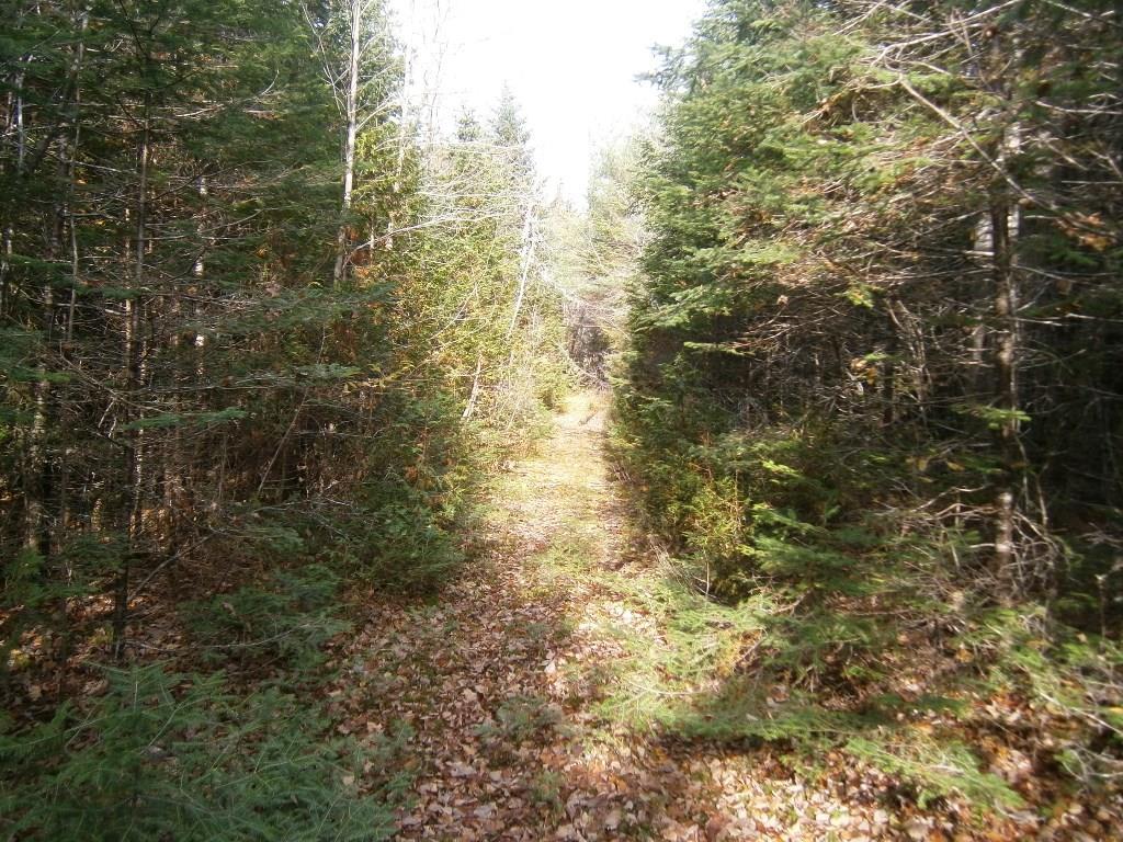 0 Roque Bluffs Road Jonesboro, ME 04648 - Photo 24 of 34 Photo