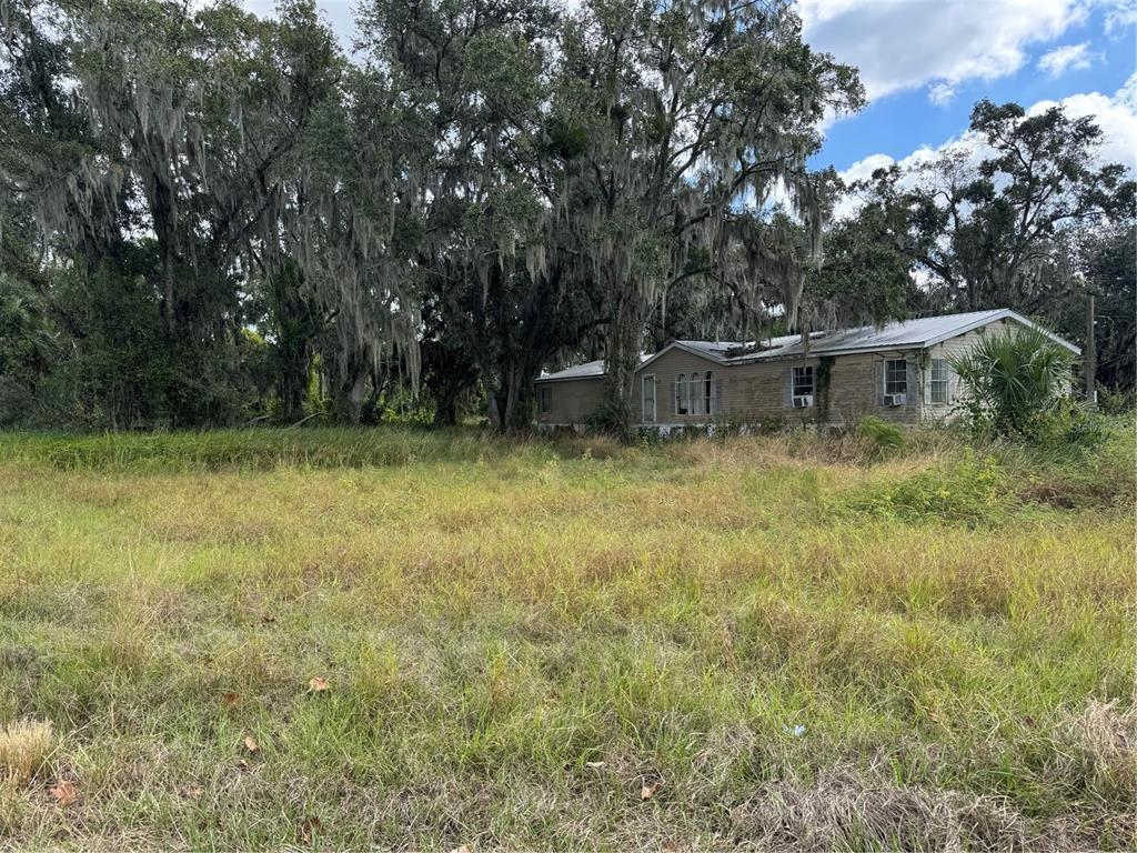 3721 Porter Road Lithia, FL 33547 - Photo 2 of 10 a backyard of a house with lots of plants and large tree