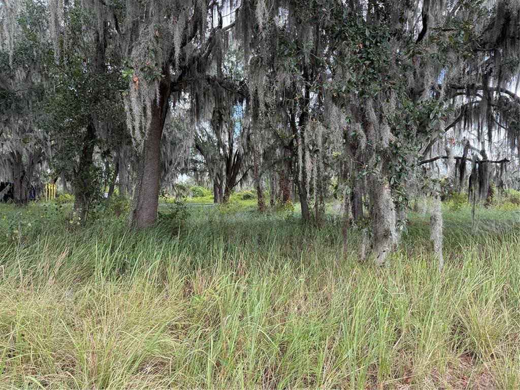 3721 Porter Road Lithia, FL 33547 - Photo 5 of 10 a view of a lake view