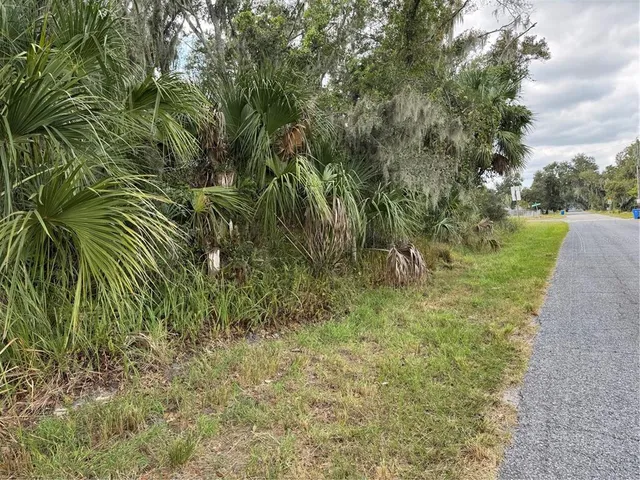a view of a yard with a tree