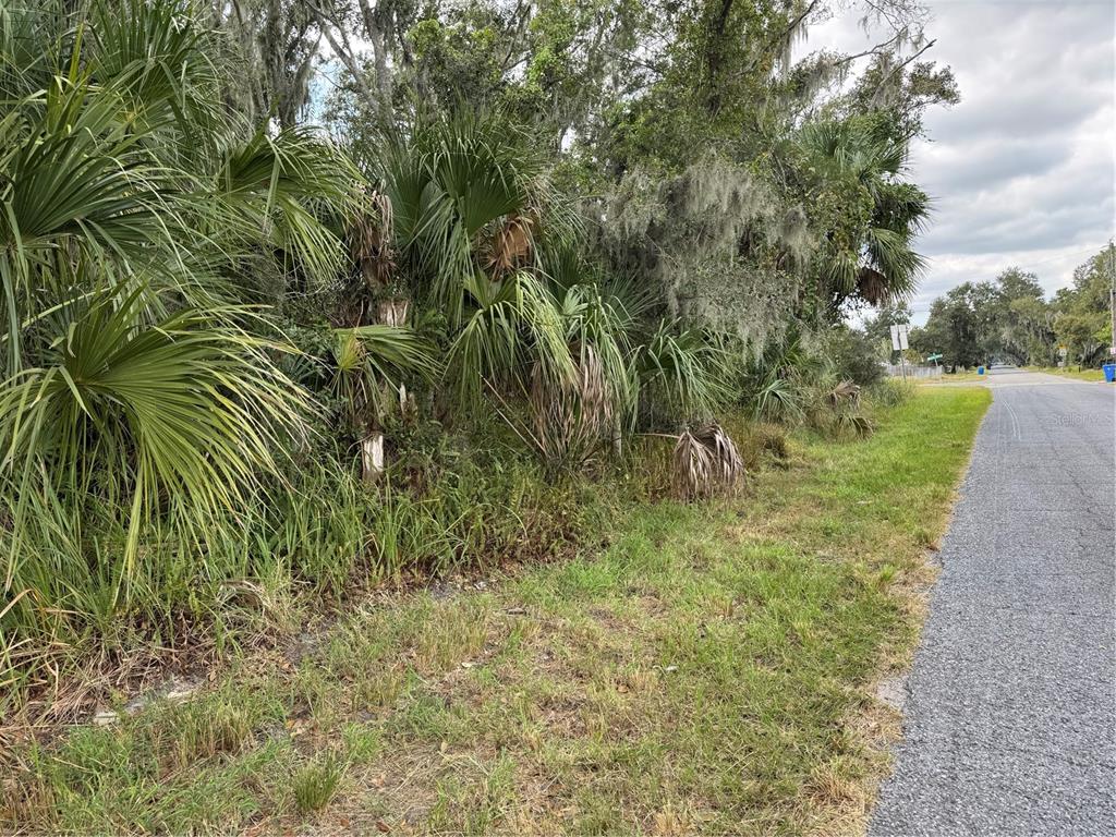 3721 Porter Road Lithia, FL 33547 - Photo 6 of 10 a view of a yard with a tree