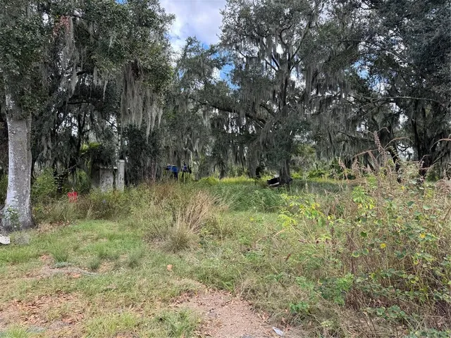 a big yard with lots of green space and deers
