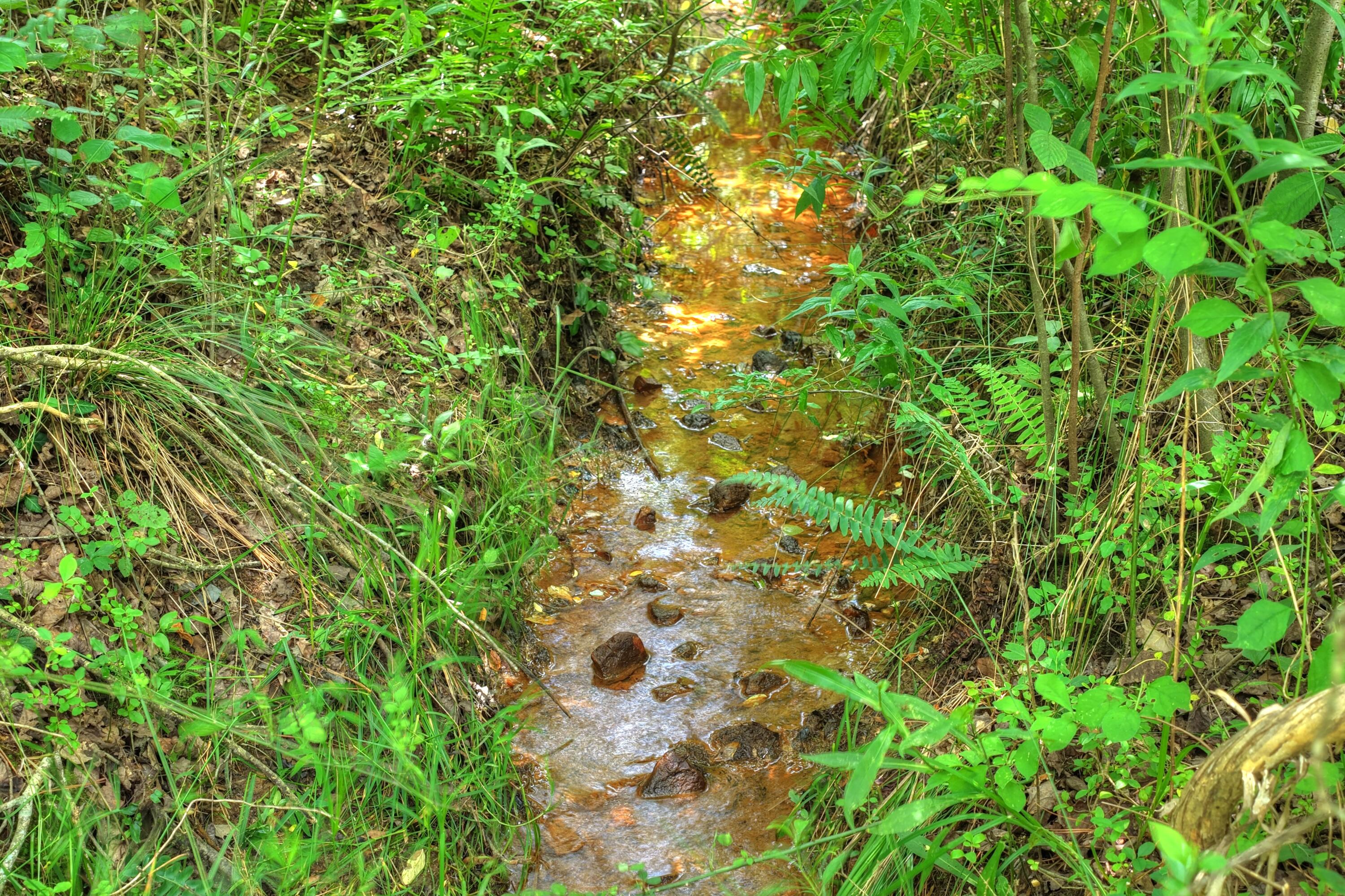 526 Airport Road Copperhill, TN 37317 - Photo 12 of 28 Airport Rd Byrd Property (11)