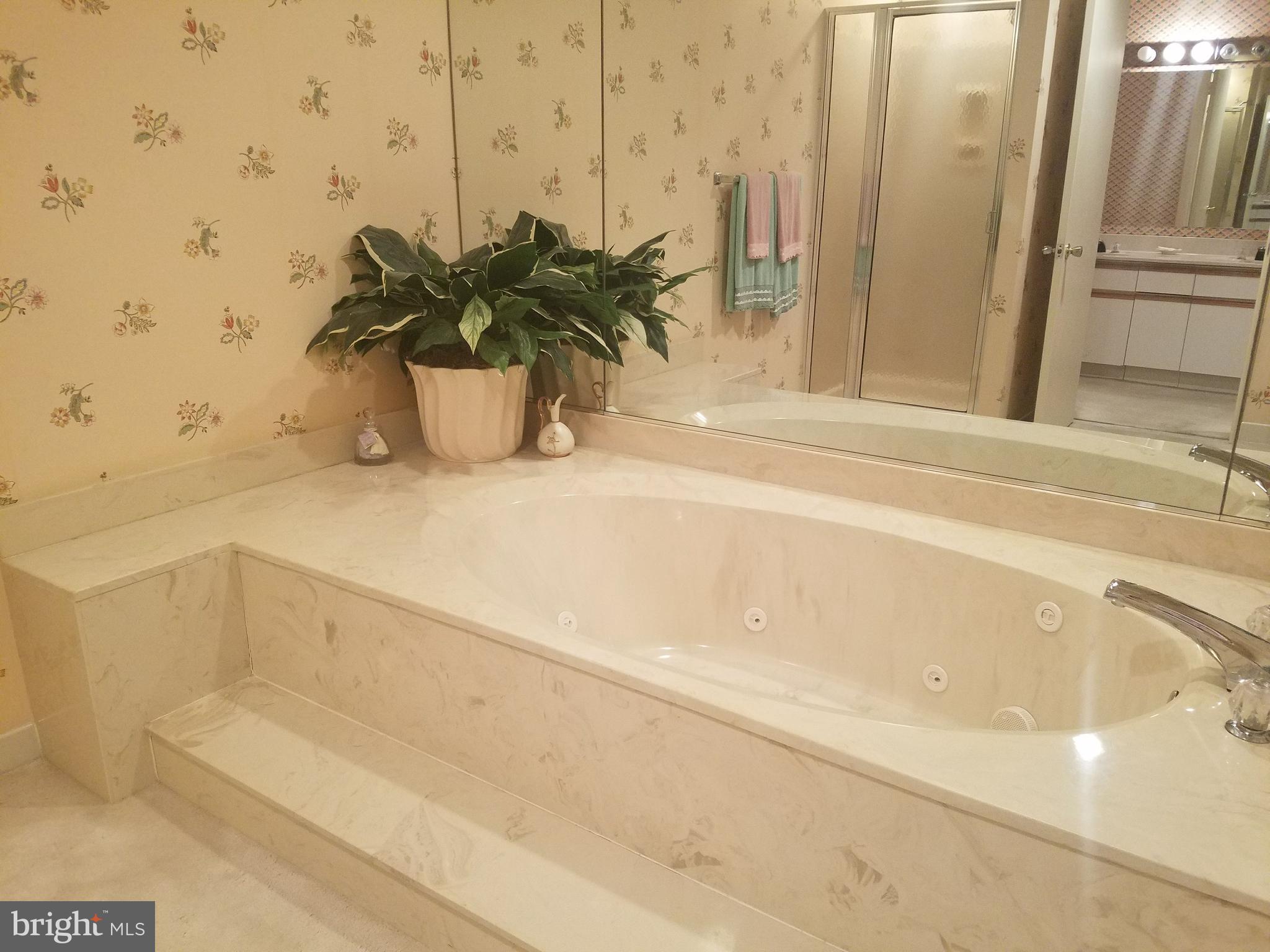 3021 Fallstaff Road, Unit 508B Baltimore, MD 21209 - Photo 15 of 22 Bath (Master)