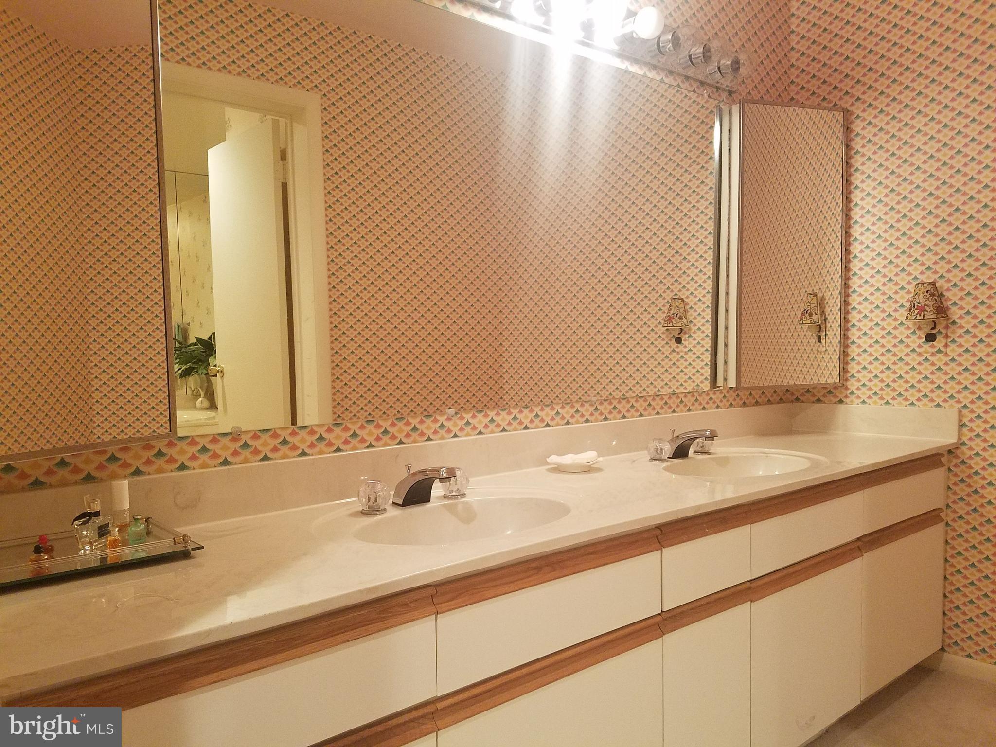 3021 Fallstaff Road, Unit 508B Baltimore, MD 21209 - Photo 10 of 22 Bath (Master)