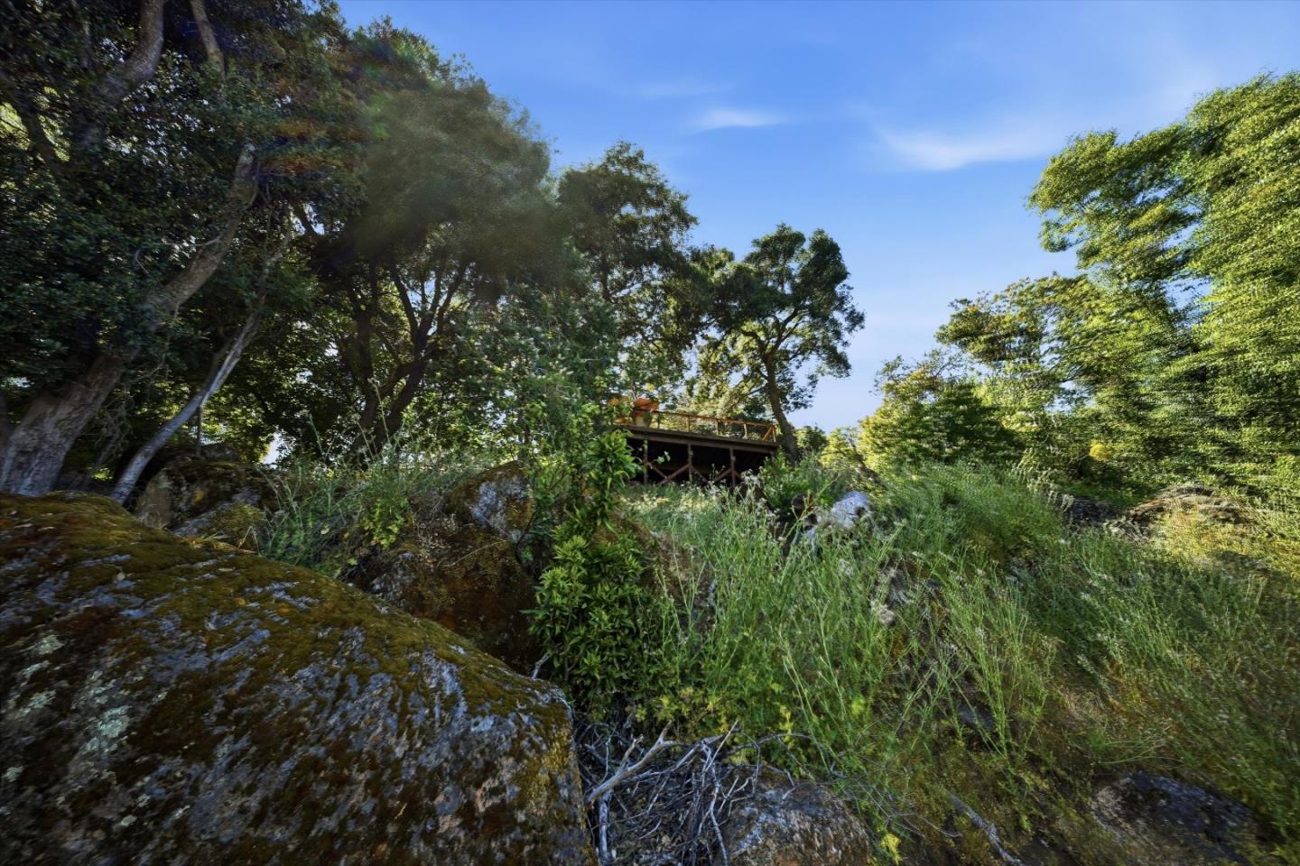 5156 Lake Road Lower Lake, CA 95457 - Photo 19 of 27 a view of a garden