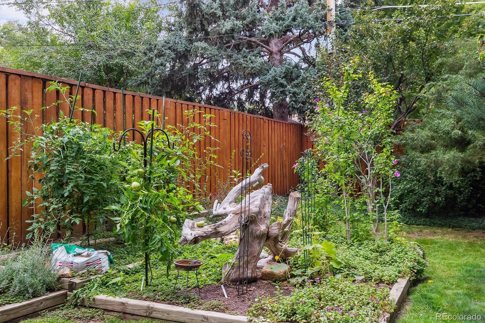 4455 Zephyr Street Wheat Ridge, CO 80033 - Photo 34 of 41