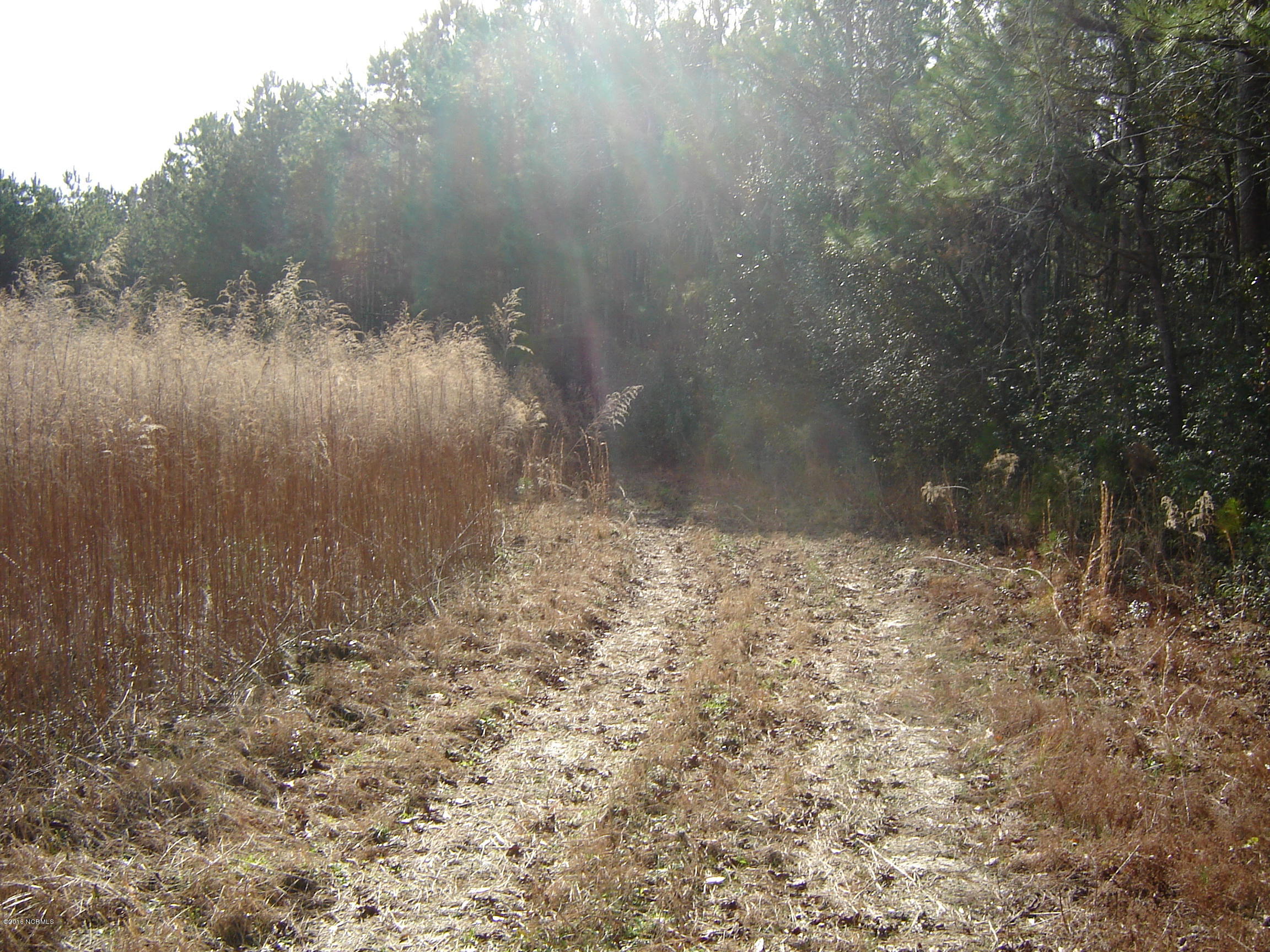 1 Funston Road Southeast Winnabow, NC 28479 - Photo 2 of 3 Funston 23 acres
