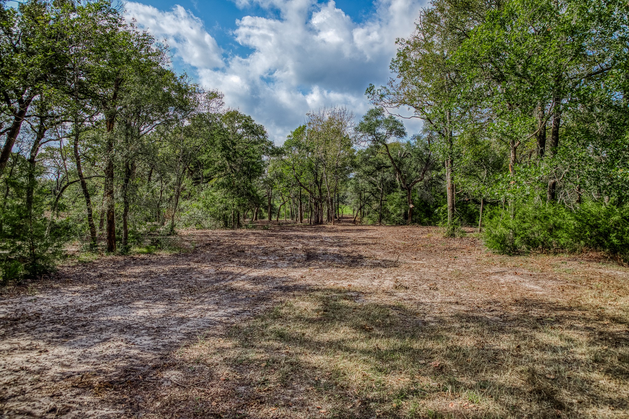 2 Sun Oil Road Brenham, TX 77833 - Photo 5 of 35