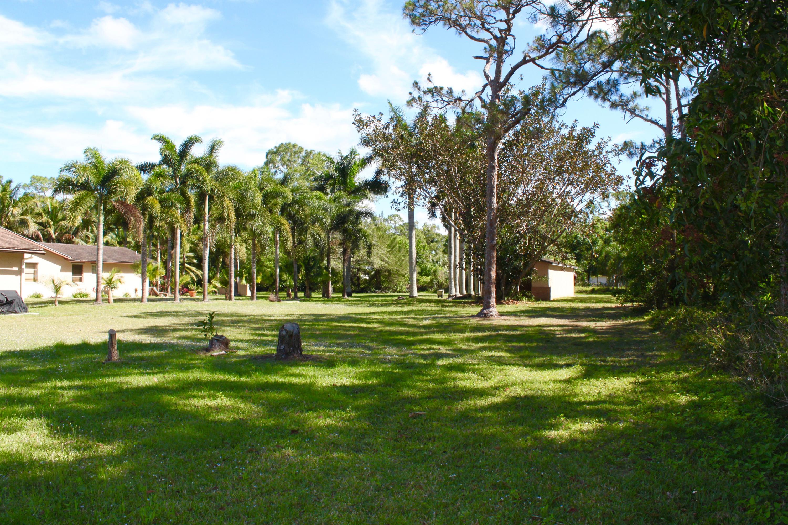 12906 Sandy Run Road Jupiter, FL 33478 - Photo 26 of 29 a view of a park with large trees