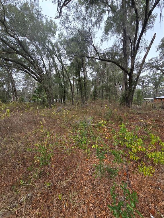 0 West C 476 Bushnell, FL 33513 - Photo 2 of 2 a view of a yard with a tree