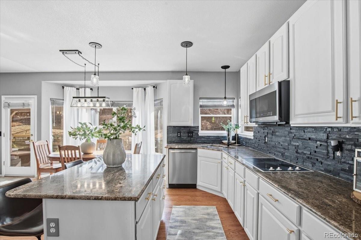 10330 Lions Path Lone Tree, CO 80124 - Photo 17 of 47