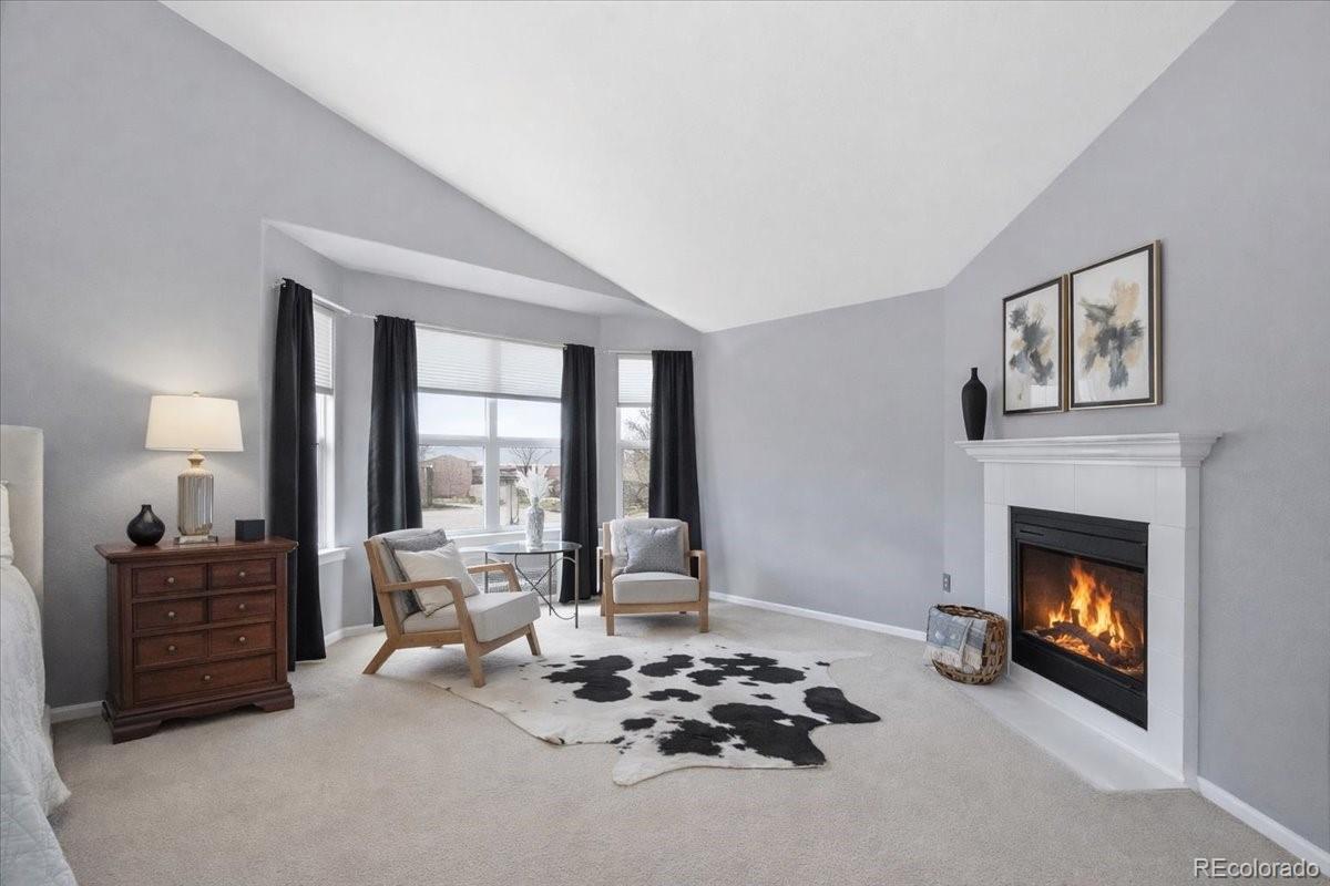 10330 Lions Path Lone Tree, CO 80124 - Photo 22 of 47