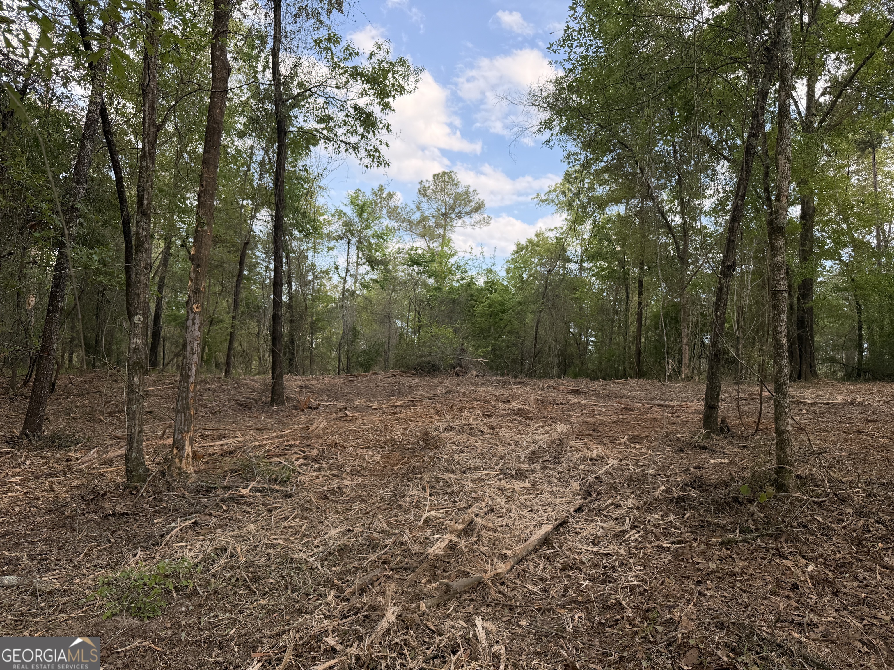 0 Booster Club Road Bainbridge, GA 39819 - Photo 2 of 5 a view of a forest with trees in the background