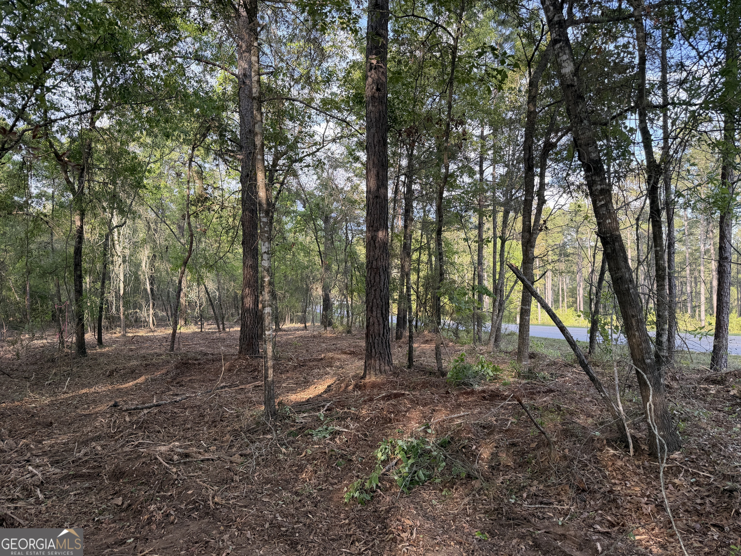 0 Booster Club Road Bainbridge, GA 39819 - Photo 4 of 5 a backyard of a house with lots of green space