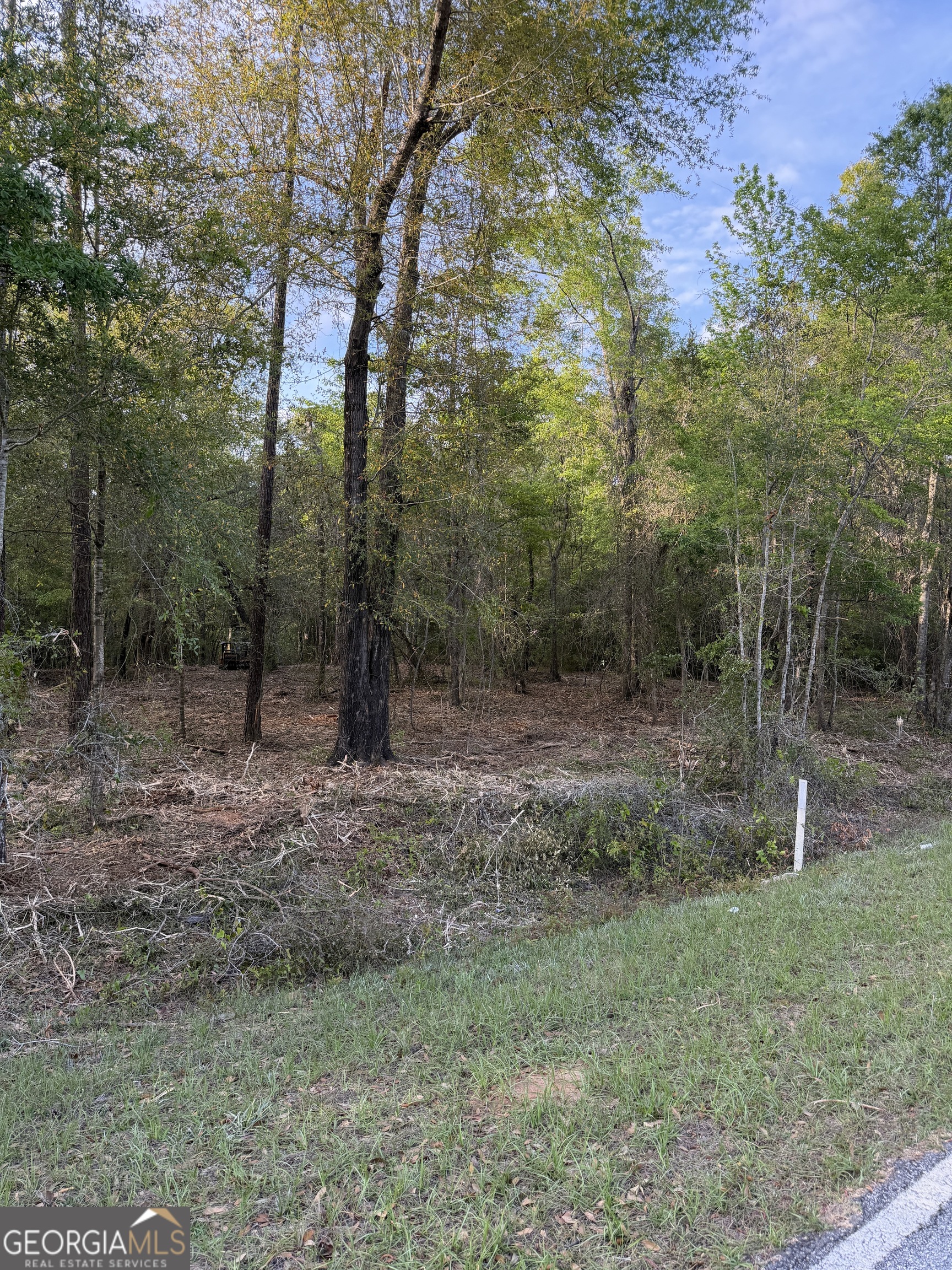 0 Booster Club Road Bainbridge, GA 39819 - Photo 5 of 5 a view of a forest with trees