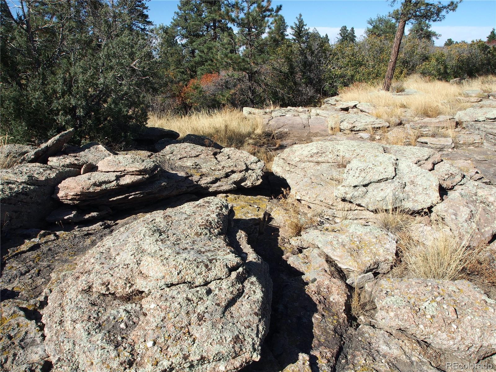 2935 Canon Ridge Road Castle Rock, CO 80104 - Photo 12 of 39